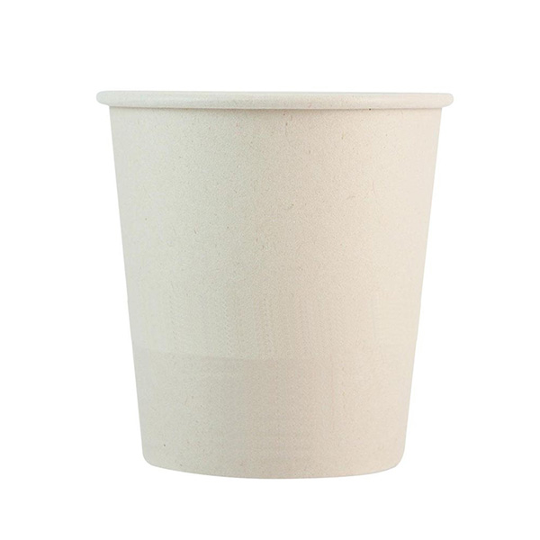 10 Oz Paper Cup