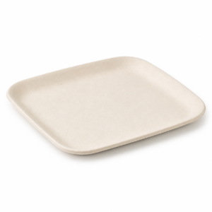 5.35×5.35 Inch Bagasse Plate