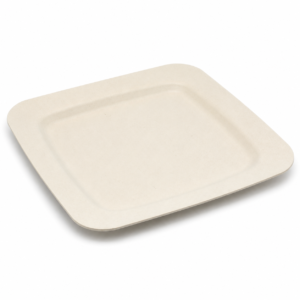 12 inch Bagasse Square Plate