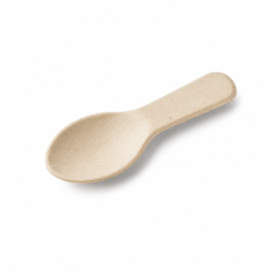 Bagasse Dessert Spoon