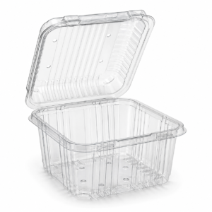 Clear Plastic Deli Container Pack of 1000