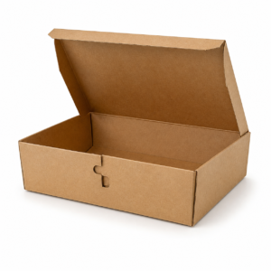 750 ml Custom Key Lock Biryani Box