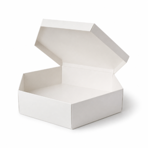 Custom Hexagon Biryani Box - 750 gm