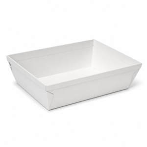 Custom Manual Lock Serving Tray - 750 ml Capacity