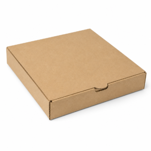 Custom Corrugated Dosa Box Square - 10 x 10 x 1.5 in