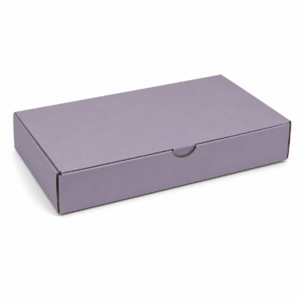 Unbranded 9 x 6 inch rectangular corrugated dosa box
