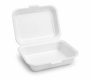 Hinged Foam Lunch Box Small