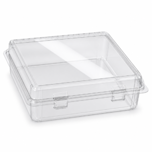 OPS Double Hinged Container 8×8 - 28 oz Clear