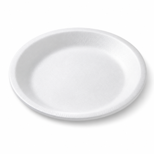 EPS Foam Plate #6 - White