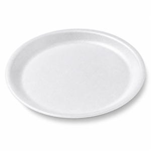 Lightweight EPS Foam Plate #9 - White, 480 pieces per case (12 packs of 40)