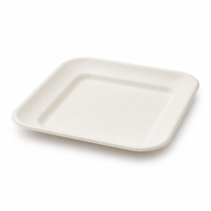 White 6 inch Bagasse Plate