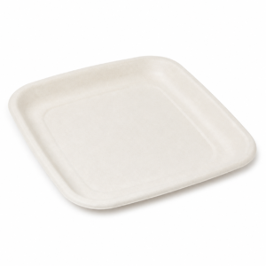 White 8 inch Bagasse Round Plate