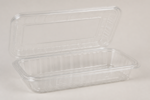 Ultra Clear Hinged PP Container 9 x 6 in - 1 Compartment