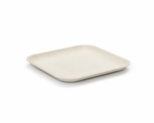 2.5×2.5 inch Bagasse Mini Square Plate