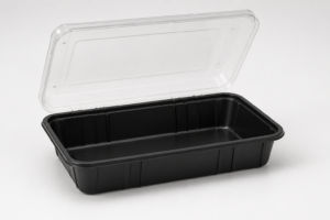 Dual Color Hinged PP Container 9 x 6 in - 1 Compartment
