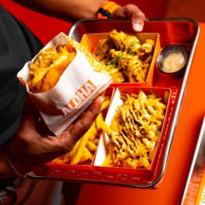 Foam Meal Trays