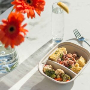 Bagasse Meal Trays