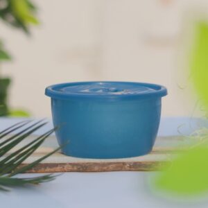 Clear PET Ice Cream Bowls