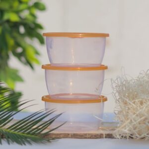 Clear PLA Salad Bowls