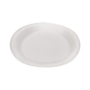 EPS Foam Plate #9 No Divisions - White