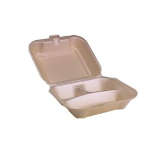 Biodegradable EPS Foam Hinged Container B - With Division