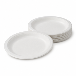 White Paper Plate 16.5 cm