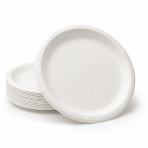 White Paper Plate 22 cm