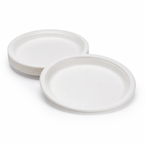 White Paper Plate 23 cm