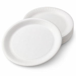 White Paper Plate 28 cm
