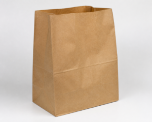 Custom Medium Doggy Bag - 10 x 8 x 14 in