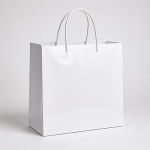 Custom Laminated Carry Bag - 12 x 12 x 8 in