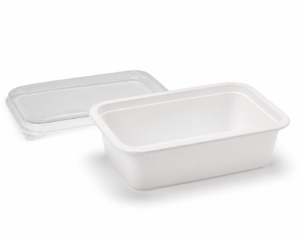 Food Care Rectangle Containers with Lids