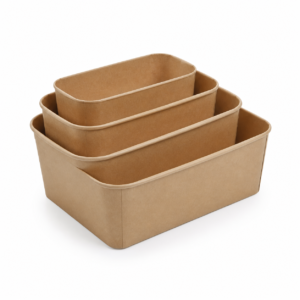 Kraft Rectangular Container Family in 500 ml to 1000 ml Sizes