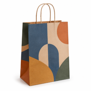 Printed Multi-Pack Carry Paper Bag with Twisted Rope Handle