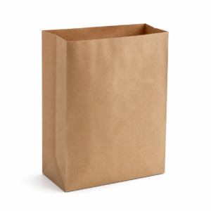 Twisted Handle Kraft Paper Bag | 80 GSM | 10” W × 5” D × 12” H