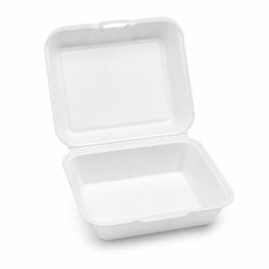 EPS Foam Hinged Container CG Box - White
