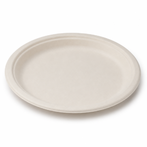 10 Inch Bagasse Plate