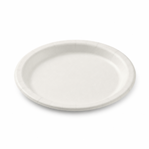 Round Paper Plate 6 in