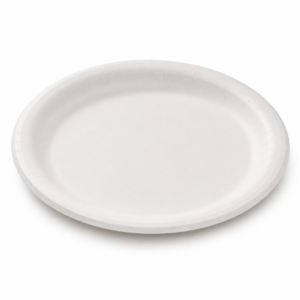 Round Paper Plate 10 in