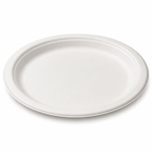 Round Paper Plate 11 in