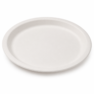 Round Paper Plate | 12 in