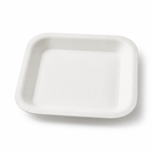 Square Paper Plate 8 in