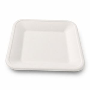Square Paper Plate 10 in