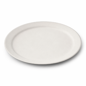 Flat Round Paper Plate 10 in