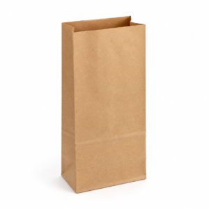 Plain Grocery Paper Bag #5 - 1 kg Capacity