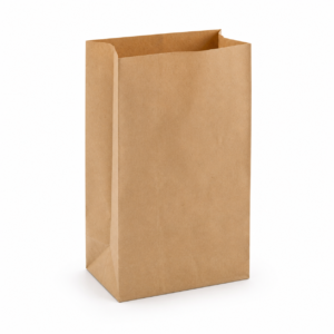 Plain Grocery Paper Bag #6 - 1.5 kg Capacity