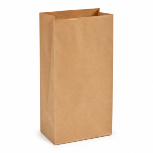 Plain Grocery Paper Bag #10 - 2.5 kg Capacity
