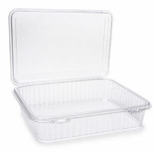 Double Clear Anti-Fog Tray - CP-779