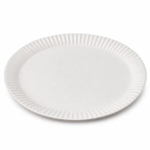 White Paper Plate 8.78 in