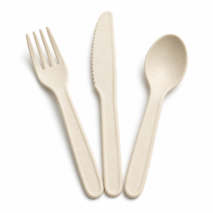 Bagasse Cutlery